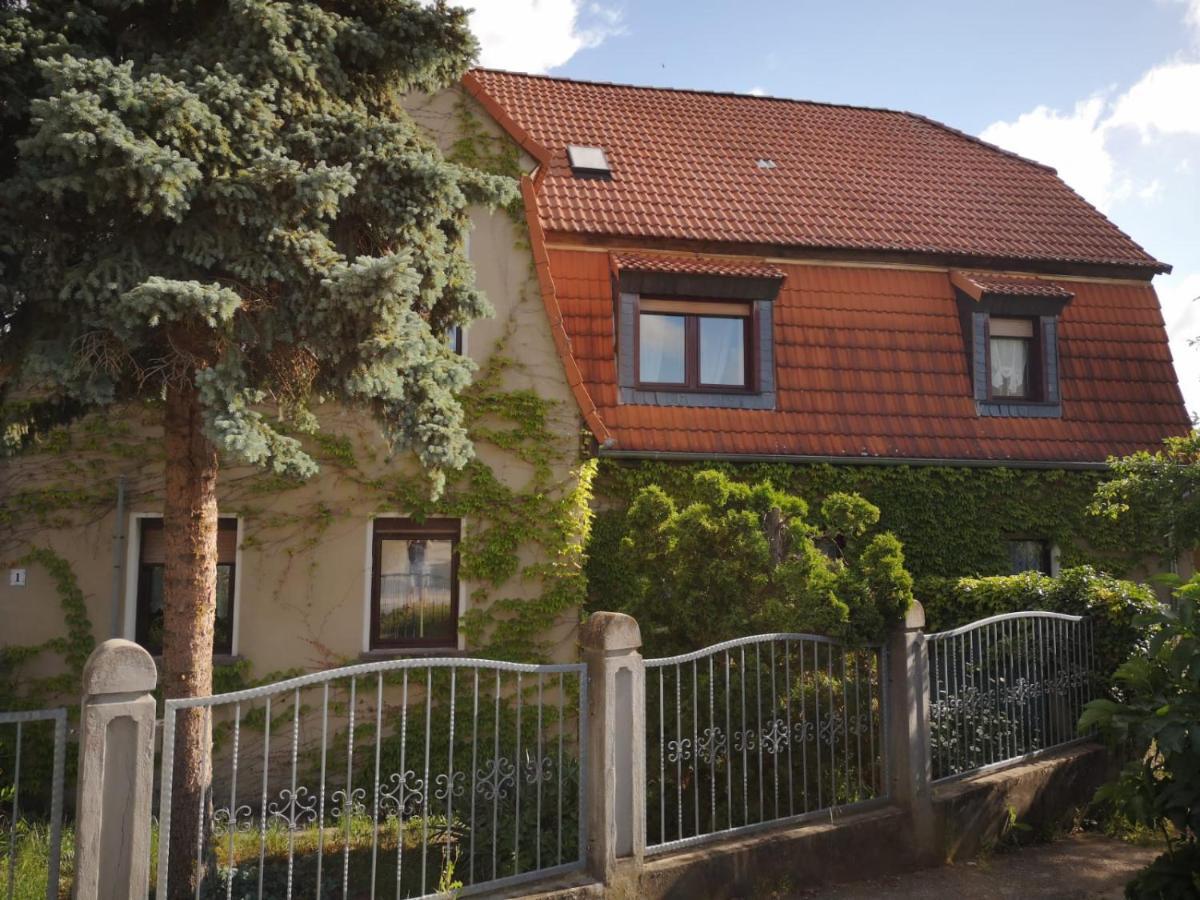 Pension Kirschgarten Nebra ภายนอก รูปภาพ